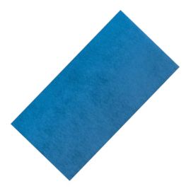 Central Vacuum Exhaust Filter 110517